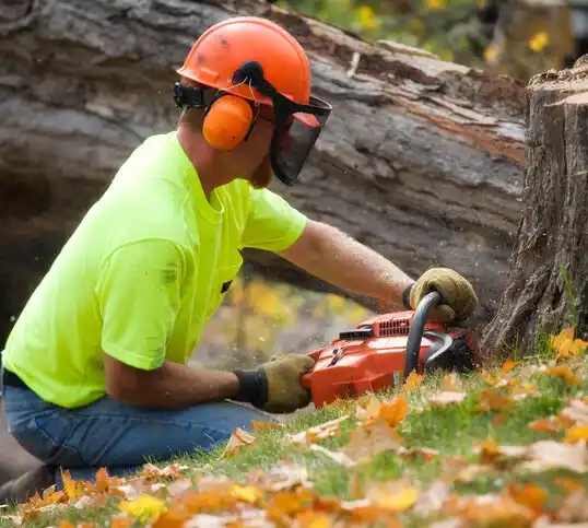 tree services Dowagiac